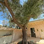 Trullo Tra Ulivi Secolari Nella Valle D'Itria