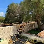 Trullo Tra Ulivi Secolari Nella Valle D'Itria