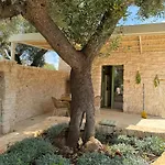 Trullo Tra Ulivi Secolari Nella Valle D'Itria