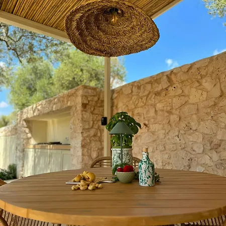 Trullo Among Ancient Olives In Valle D'itria Ostuni