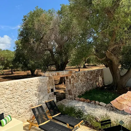 Trullo Among Ancient Olives In Valle D'itria