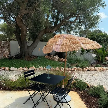 Trullo Among Ancient Olives In Valle D'itria *