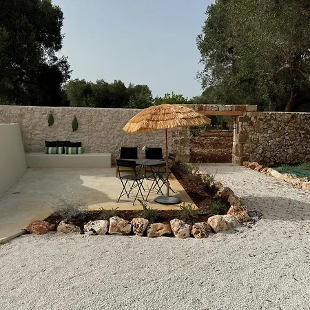 Trullo Among Ancient Olives In Valle D'itria *