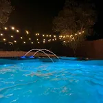 Trullo Tra Ulivi Secolari Nella Valle D'Itria * Ostuni