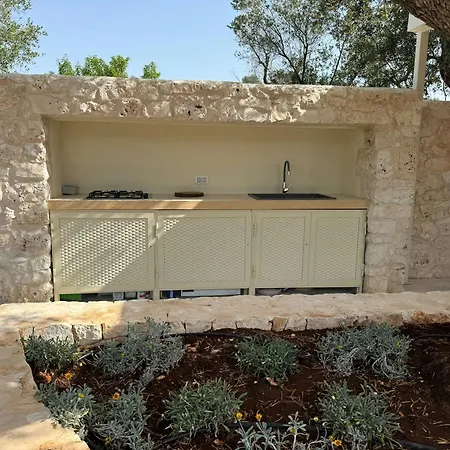 Trullo Among Ancient Olives In Valle D'itria