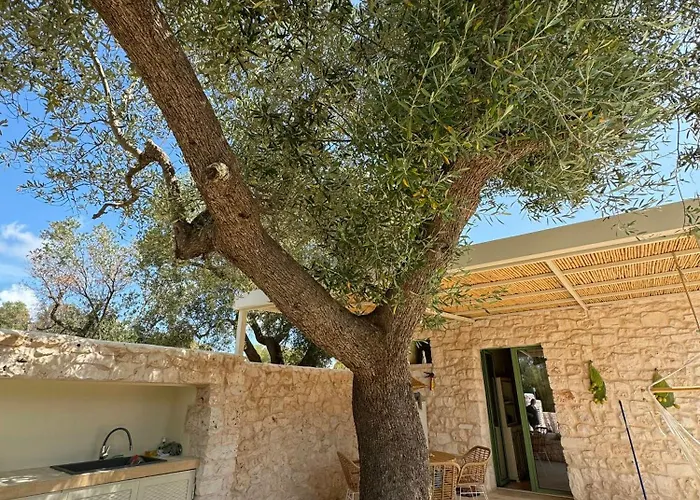 Trullo Among Ancient Olives In Valle D'itria Ostuni