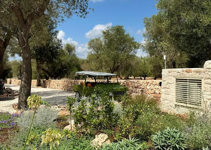 Trullo Among Ancient Olives In Valle D'itria *